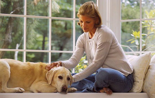 Permesso retribuito per curare il cane concesso alla dipendente
