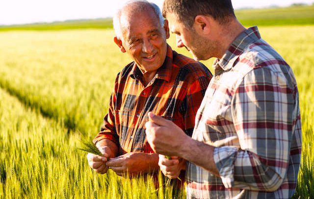 Assunzione disabili in agricoltura, il conteggio dell’organico