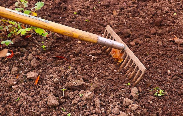 Esonero contributivo 2018, istituzione codice per i lavoratori agricoli