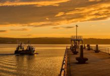 Lavoratori portuali, integrazioni salariali covid, indicazioni INPS Lavoratori portuali, integrazioni salariali covid, indicazioni INPS