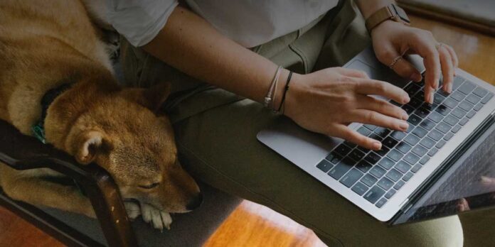 Smart working Smart working da misura emergenziale a strumento strutturale: la trasformazione del lavoro agile