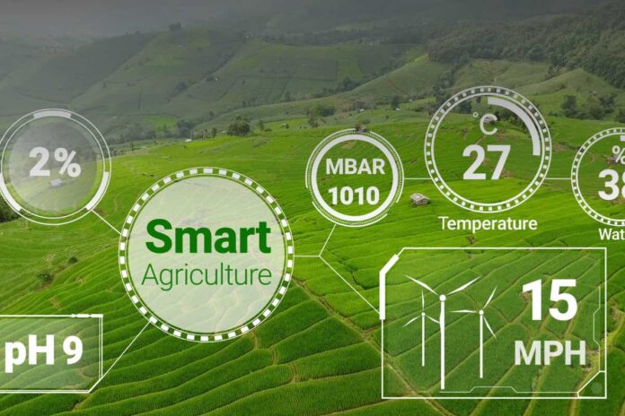 Che impatto ha la gig economy nelle aree rurali? Conseguenze sociali, economiche e sfide per il territorio