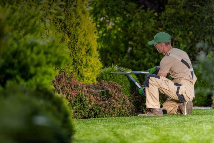 Come favorire il reinserimento dei detenuti attraverso il lavoro? Normative, incentivi e buone pratiche nel 2025