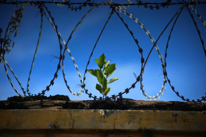 Come funzionano le cooperative penitenziarie? Opportunità di reinserimento e limiti da conoscere