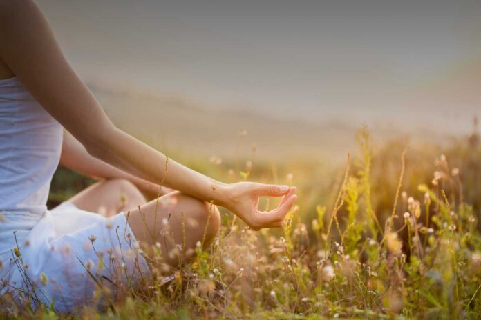 Com’è lavorare lontano da tutto? Sfide quotidiane e benefici della vita in rifugi, agriturismi e luoghi isolati