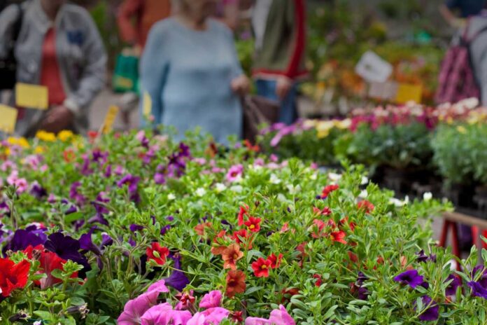 Come promuovere al meglio una fiera o una sagra? Strategie di marketing efficaci per eventi stagionali