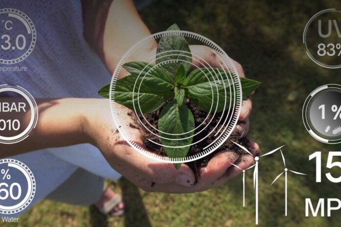 Il lavoro agricolo on-demand conviene davvero? Vantaggi, rischi e condizioni da conoscere nelle campagne