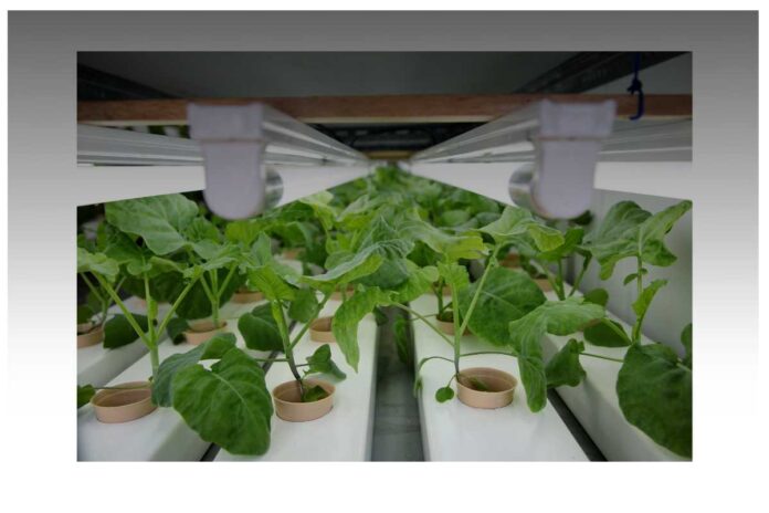 La gig economy può essere davvero sostenibile? Prospettive ambientali, sociali ed economiche a confronto