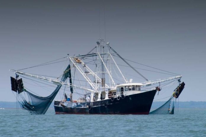 settore pesca Origini e importanza dei sindacati