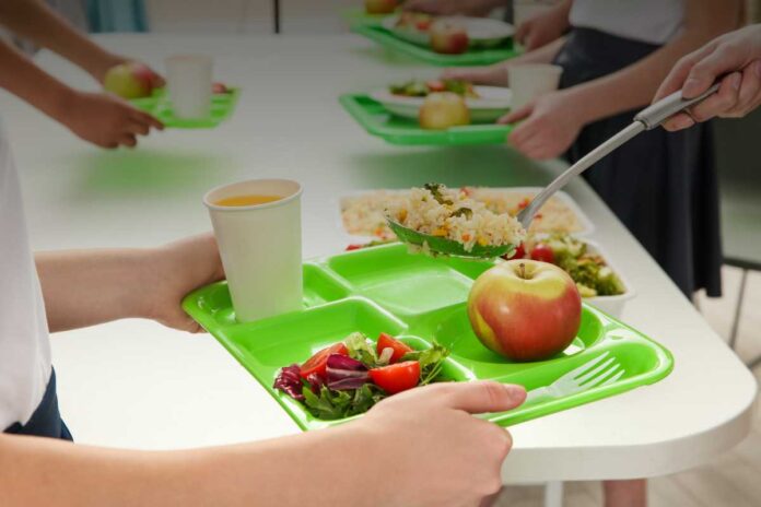 Mense scolastiche Mense scolastiche: diritti e doveri del personale durante le vacanze