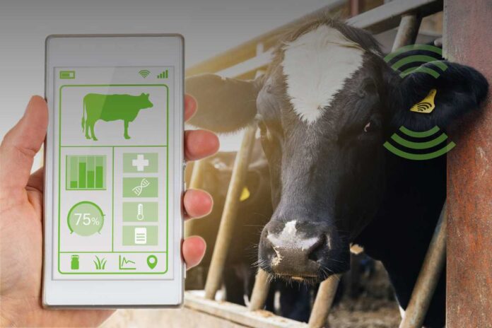 Quali app e piattaforme esistono per il lavoro agricolo? Una guida alle soluzioni digitali più utilizzate