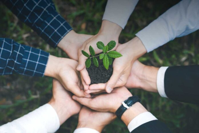 Quali leggi regolano le cooperative sociali in Italia? Norme fondamentali e riferimenti utili