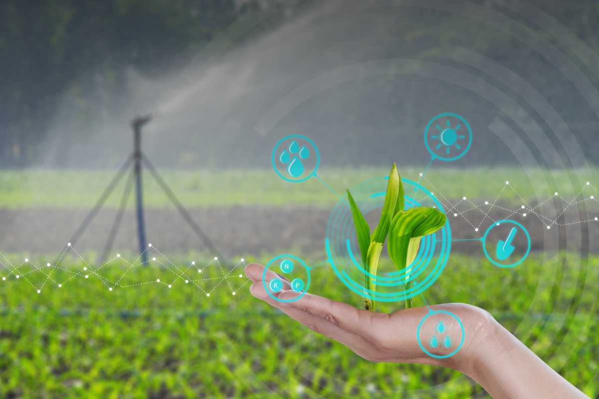 Gig economy rurale Quali regole governano il lavoro agricolo digitale? Politiche, tutele e sfide della nuova agricoltura connessa