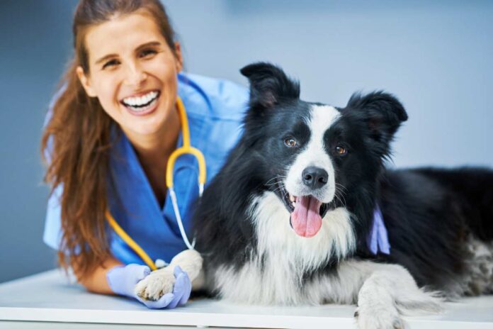 mangime animali detraibile o no