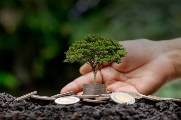 Economia circolare: come funziona davvero un modello di business sostenibile