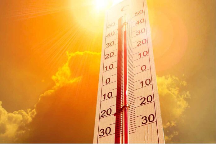 Soffri troppo il caldo a lavoro? Puoi restare a casa e guadagnare lo stesso