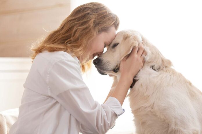 permessi dopo morte animale domestico