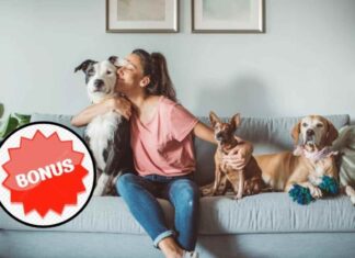 Bonus animali domestici 2025