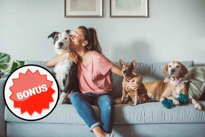 Bonus animali domestici 2025