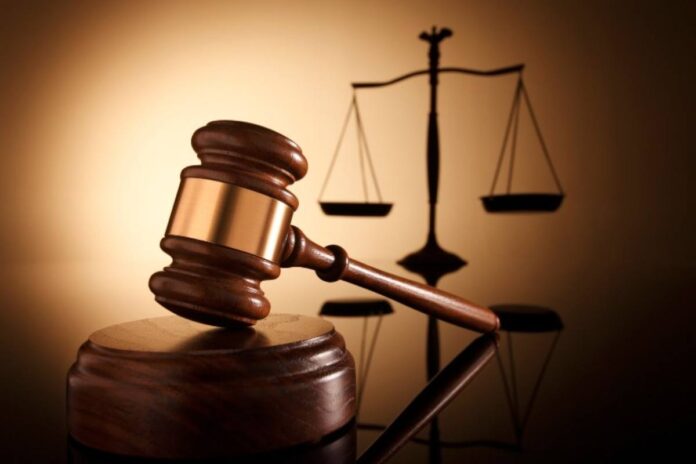 Giustizia Dipendenti pubblici, partita IVA, sentenza