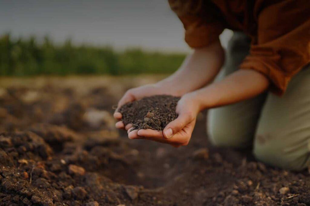 Impatto ambientale e sociale dell’agricoltura biologica: benefici e criticità