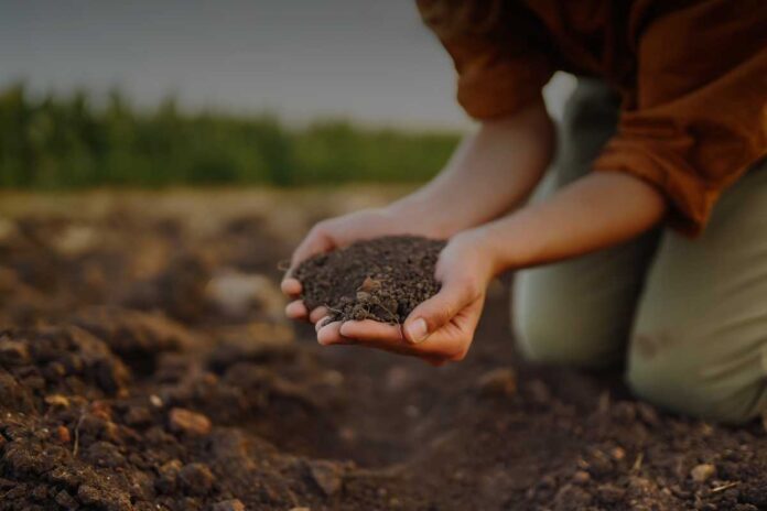 Impatto ambientale e sociale dell’agricoltura biologica: benefici e criticità