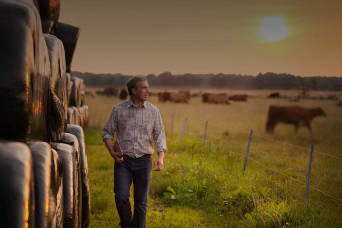 Lavorare nel biologico: quali sono le condizioni e i livelli salariali