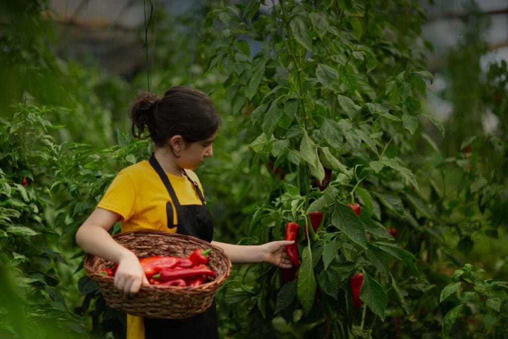 Lavoratori nel settore agricolo biologico: diritti, tutele e sfide attuali