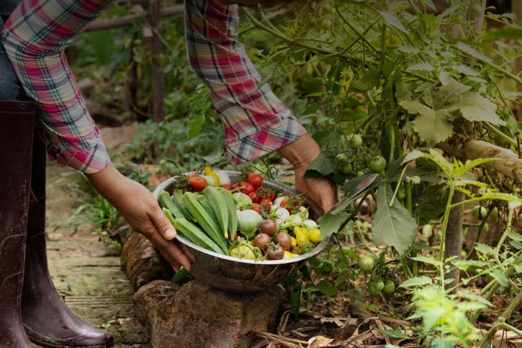 Normative europee sull’agricoltura biologica: regole e impatto sui lavoratori