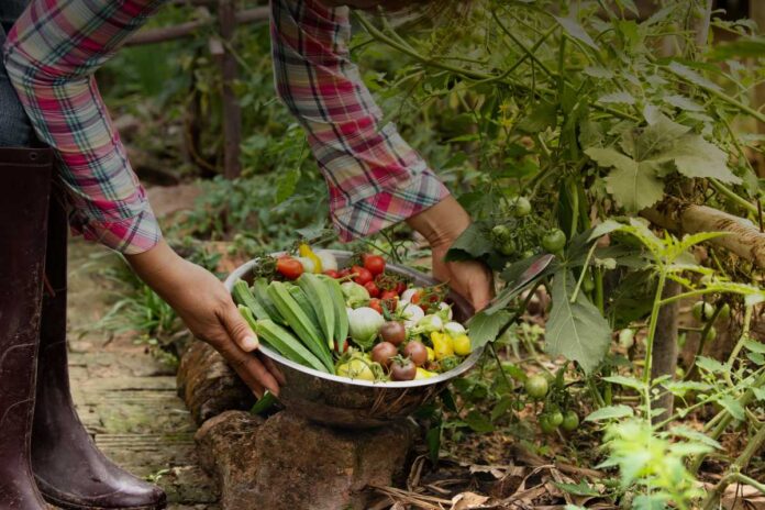 Tecniche innovative di coltivazione e conservazione