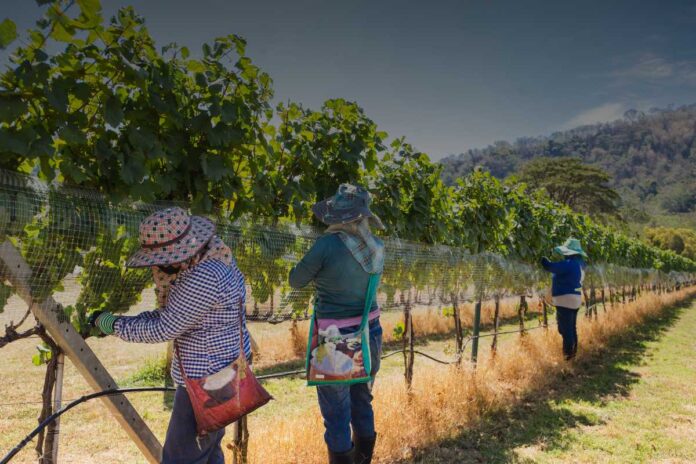 Lavoro stagionale Diritti dei lavoratori stagionali: una panoramica globale tra sfide e tutele