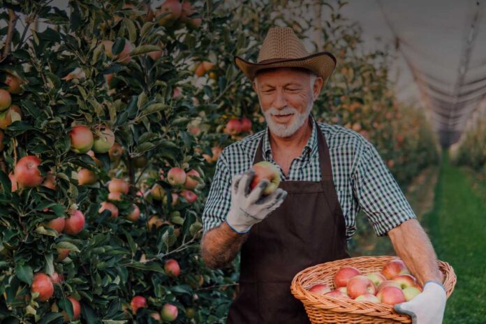 Sindacati e agricoltura biologica: tutela dei lavoratori e nuove sfide