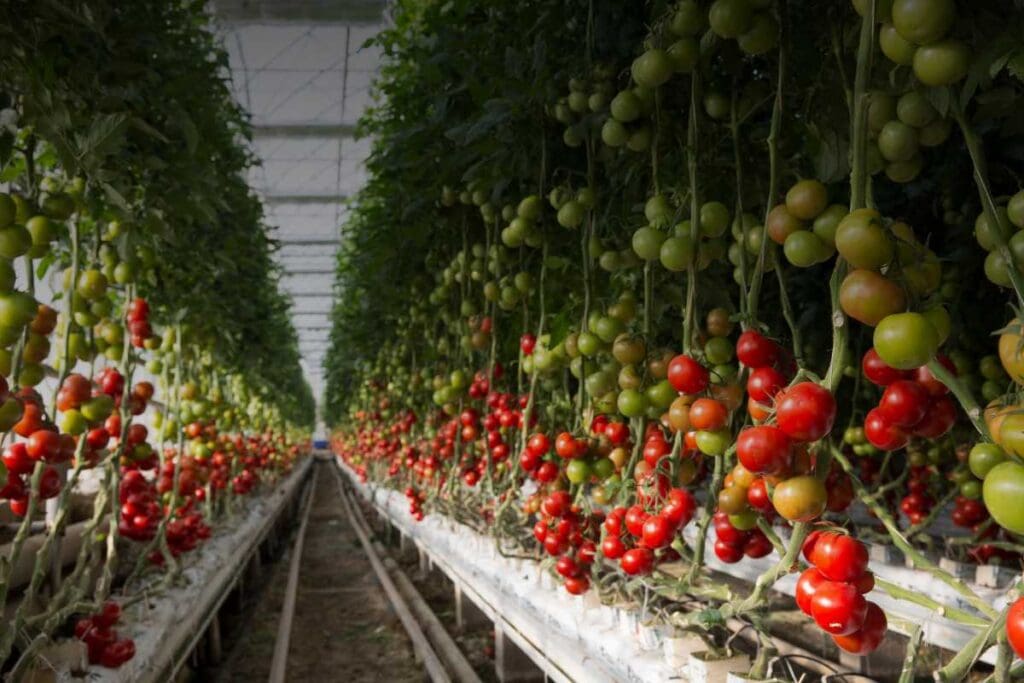 Il supporto reciproco fra donne in comunità rurali