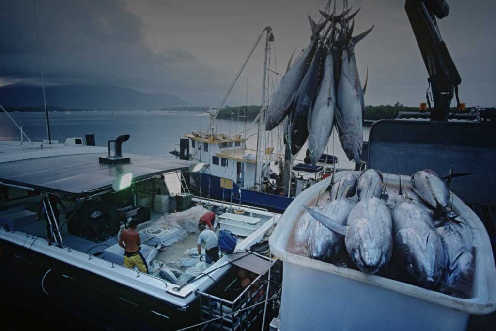 Diritti dei lavoratori nella pesca artigianale e industriale: tutela e prospettive
