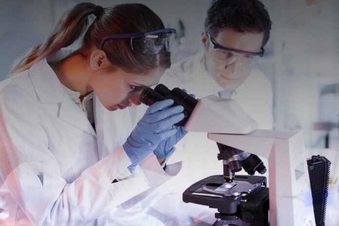 Fra borse, assegni e contratti precari: la condizione dei ricercatori universitari oggi