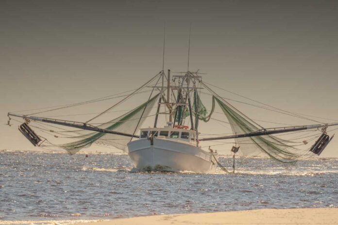 Innovazioni tecnologiche nella pesca: che impatto sui diritti dei pescatori?