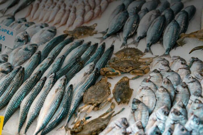 Pesca sostenibile: tecniche e regole