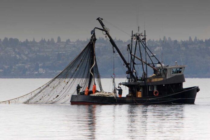 Reti pesanti e vecchi pregiudizi: la battaglia per la parità di genere nella pesca