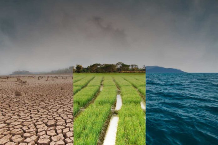 Rischi e prevenzione nelle bonifiche ambientali: norme, protocolli e buone pratiche