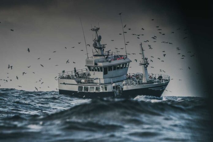 Tra mare agitato e reti pesanti: come è davvero la sicurezza per i pescatori