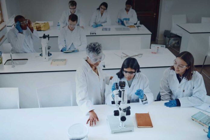 Università in riforma: per i contratti dei ricercatori si profila un orizzonte meno precario