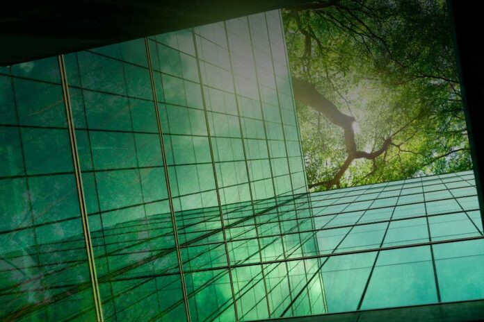 Aziende leader nella sostenibilità: i case studies che ispirano il cambiamento