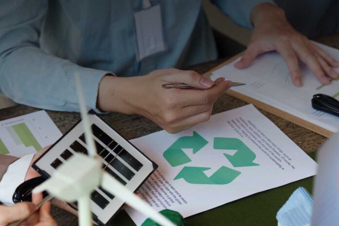 Cultura organizzativa e responsabilità ambientale: un binomio per il futuro sostenibile