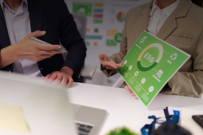 Il nuovo volto delle carriere creative: quando la sostenibilità diventa un valore