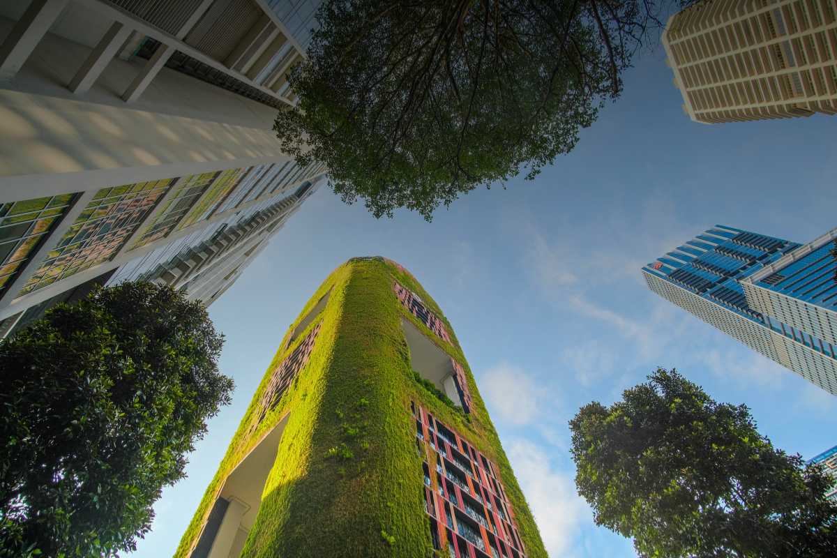 Sostenibilità sociale Innovazioni tecnologiche a supporto della sostenibilità sociale