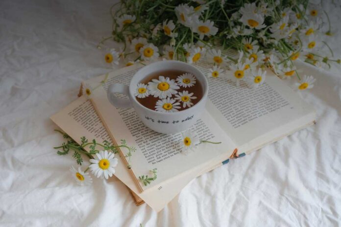 La sfida di bilanciare vita e lavoro creativo