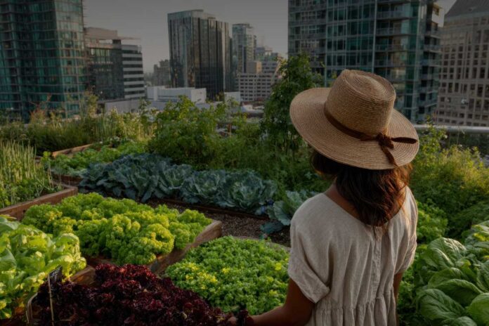 L'impatto della rigenerazione urbana sulle comunità locali