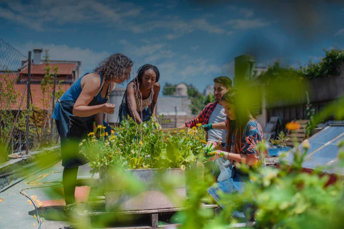Rigenerazione urbana Partecipazione cittadina nei processi di rigenerazione urbana