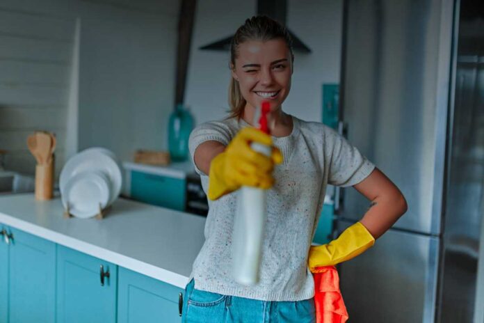 Lavoro domestico Sostenibilità e lavoro domestico: una sfida contemporanea