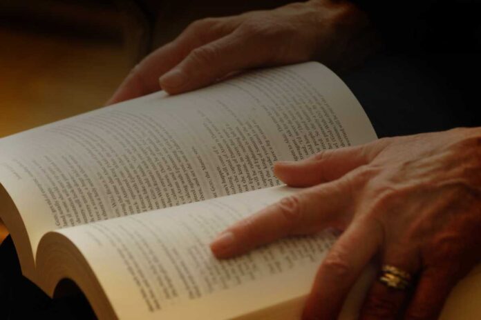 Il ruolo del lavoro nei romanzi di formazione: da Dickens a Elsa Morante